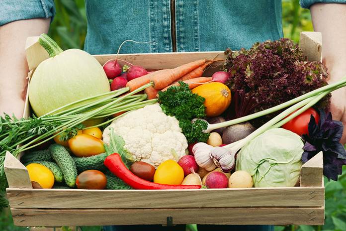 Berbagai Macam Usaha dari Sektor Pertanian yang Harus Anda Coba