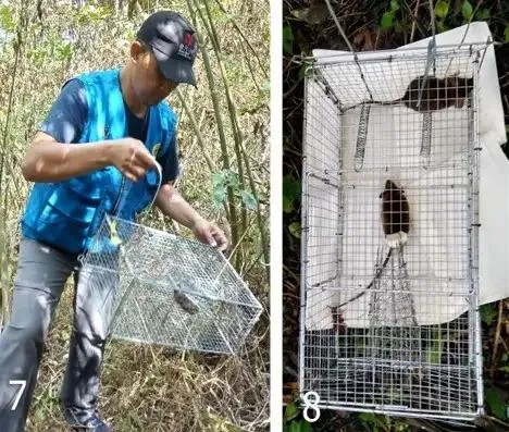 BRIN Ingatkan Potensi Kembalinya Wabah Pes di Indonesia