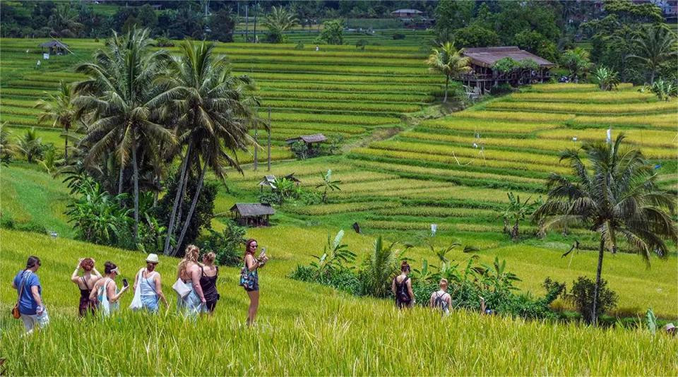 Dari Kearifan Lokal Menuju Panggung Dunia