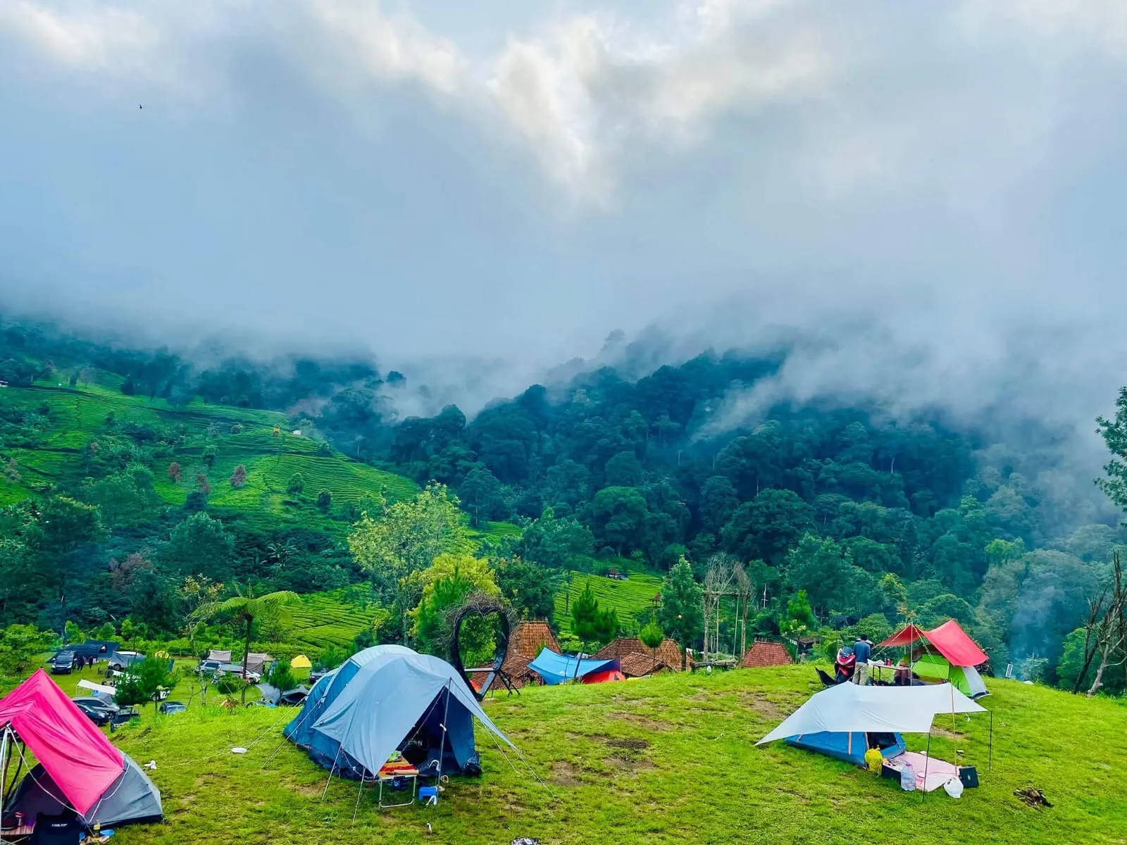 Merajut Harmoni di Bentang Alam Camping Ground Pinus Ecopark, Puncak Bogor