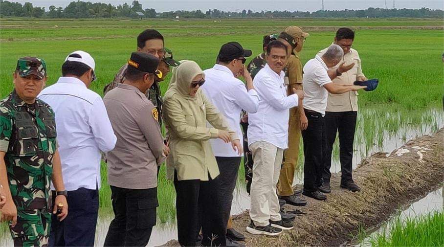 Wamentan Dorong Optimasi Lahan Rawa 106.000 Ha dan 150.000 Ha Cetak Sawah Baru di Sumsel