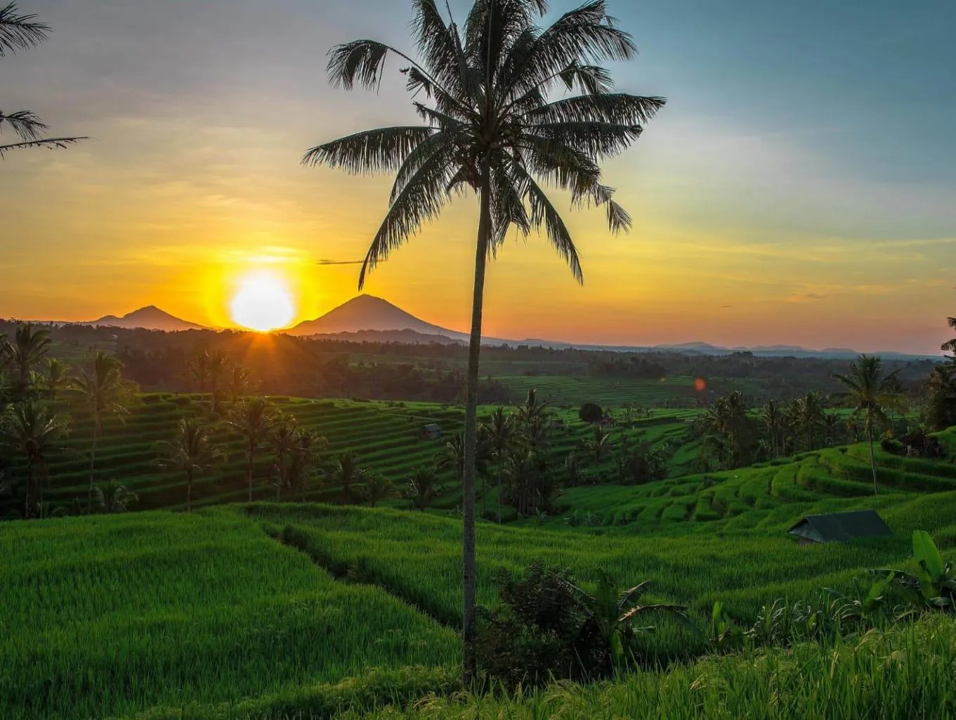 Keunikan Desa Jatiluwih Bali, Lebih dari Sekadar Desa Wisata dengan Sawah Nan Hijau