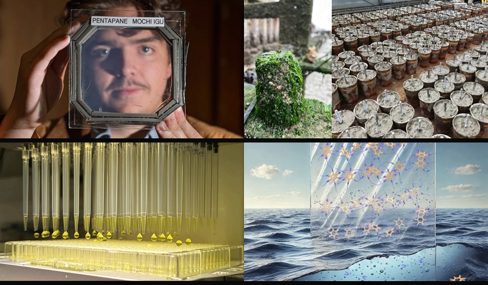 Inovasi Hijau Terbaik Januari 2026, dari Rumput Laut hingga Drone Pemadam Kebakaran