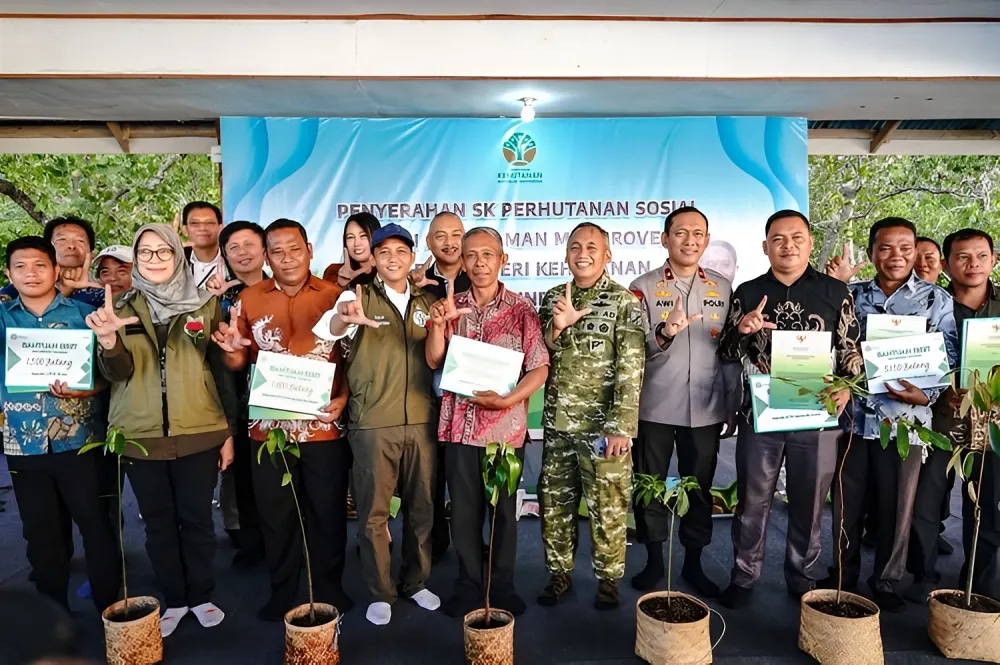 Berita Terkini: Dari Mangrove, 328 Keluarga di Sulut Kini Punya Kunci Hutan untuk Ekonomi Hijau