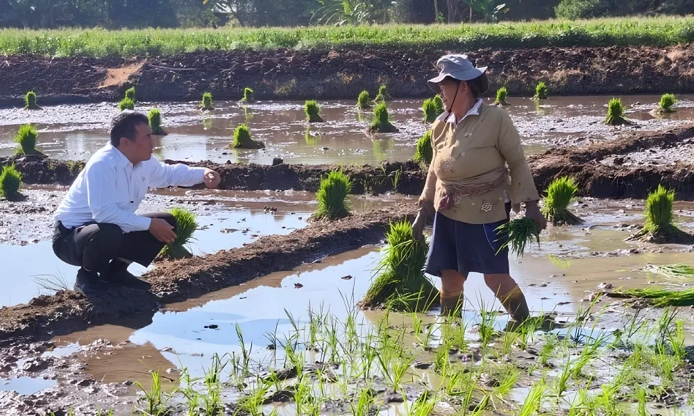 Dikira Orang Lewat, Ternyata Mentan Amran, Curhat Petani Semarang Berbuah Traktor