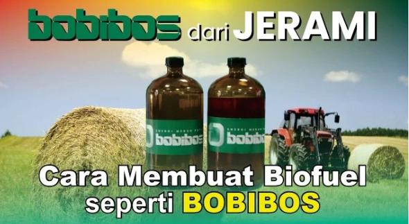 Bobibos dari Jerami: Inovasi atau Ilusi Energi? 
