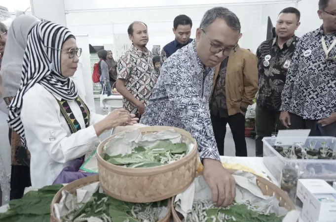 Selain Benang Sutra, Persutraan Alam Dapat Dimanfaatkan untuk Pakan Ternak hingga Perawatan Kulit