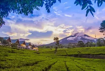 Pagaralam: Permata Tersembunyi Sumsel yang Kian Menggeliat