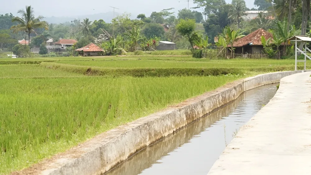 Mentan Amran Gaspol Lima Strategi Mitigasi Utama Pertanian Hadapi El Nino 