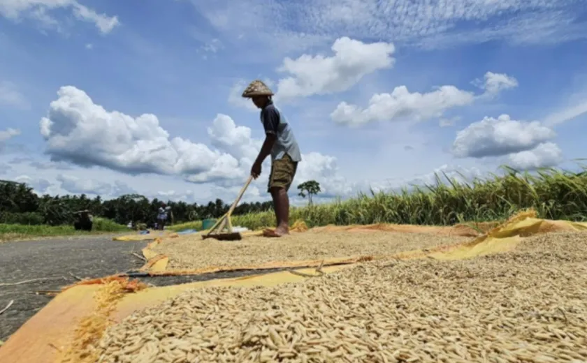 45 Juta Orang Terancam Krisis Pangan Akut, Indonesia Justru Surplus Beras