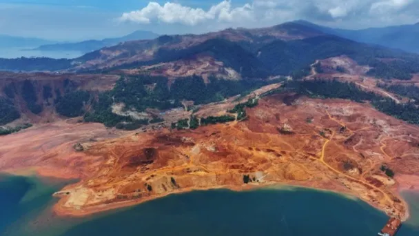 Deforestasi Melonjak, Pemerintah Mesti Terbitkan Regulasi yang Melindungi Seluruh Hutan Alam Tersisa