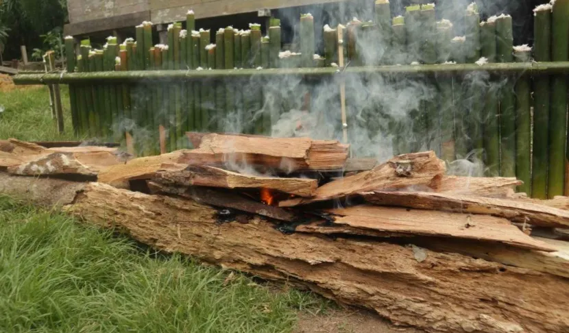 Tradisi Baremah Baranyun : Ungkapan Syukur Masyarakat Adat Dayak Belangin Sekendal  