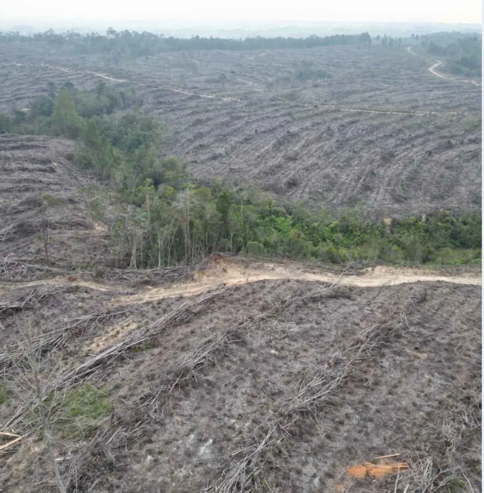 Masyarakat Tolak Peninjauan Izin TPL Pasca Dicabut Pemerintah