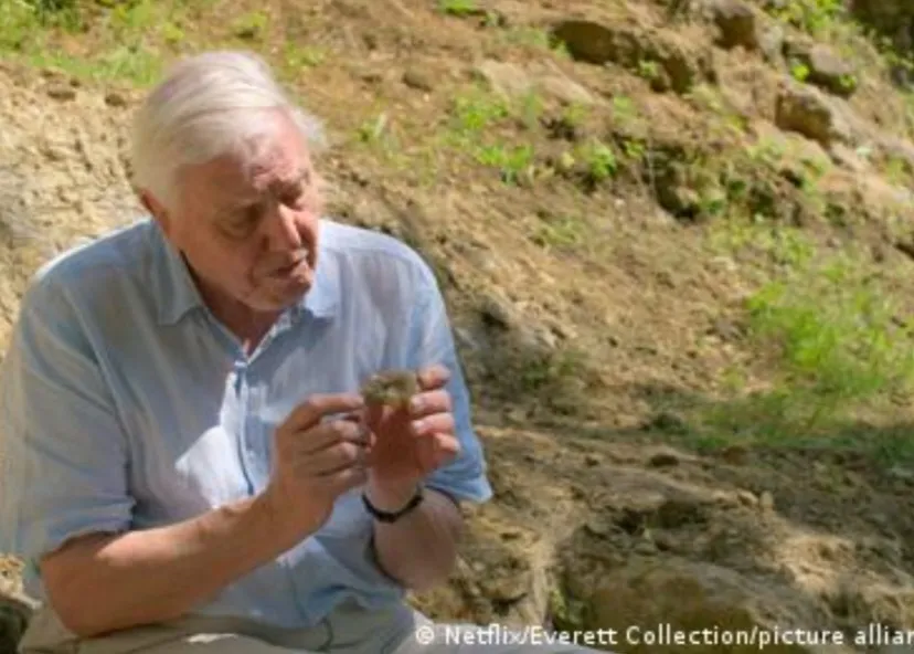 Seabad David Attenborough, Sang Pecinta dan Perawi Saga Alam