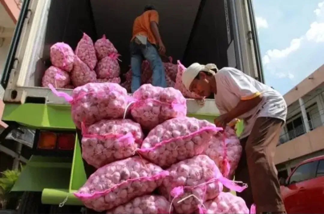 Berita Terkini: Bapanas Pastikan Pasokan Bawang Putih Terjaga, Minta Pemda Perketat Akurasi Data Harga
