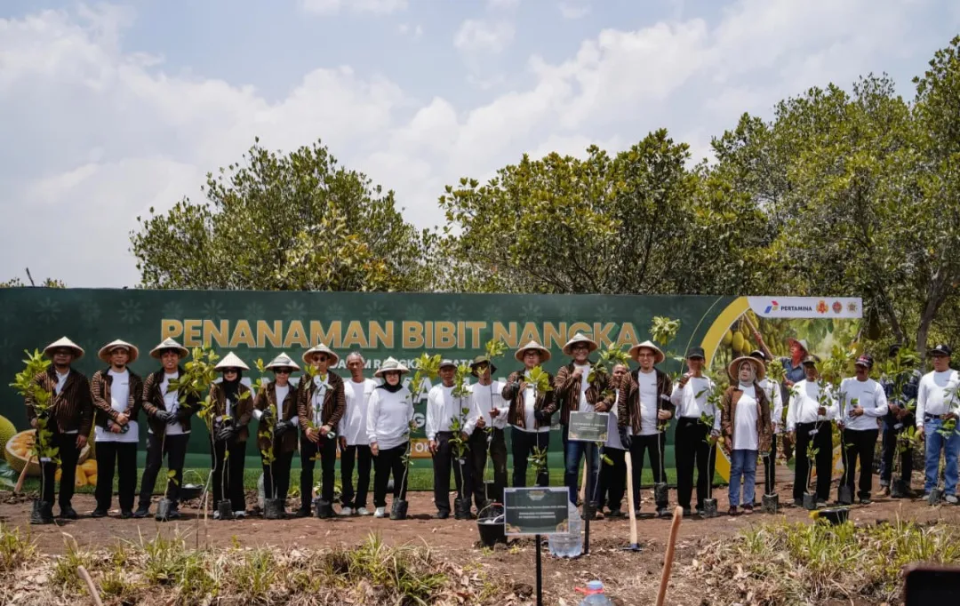 Sokong Industri Kuliner Yogyakarta, Pertamina Panen Raya Nangka di Hutan Wanaboga Gunungkidul
