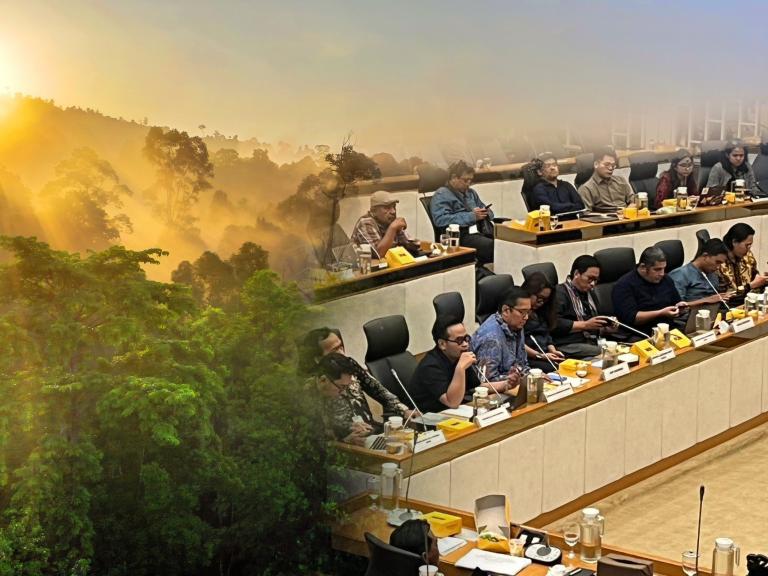 FDKI Ajukan Lima Agenda Strategis Penyelenggaraan Kehutanan Indonesia dalam Revisi UU 41/1999