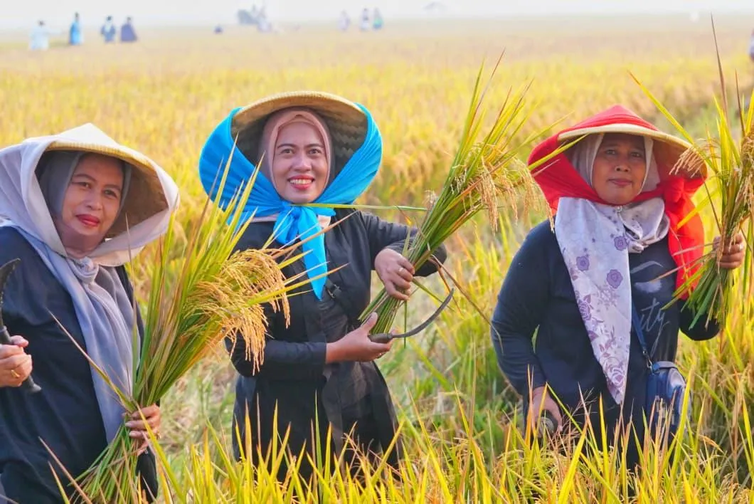 FAO Akui Stok Beras Indonesia Meningkat Pesat, Produksi Tertinggi di Asia Tenggara