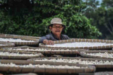 Belajar Ketahanan Pangan dari Kampung Adat Cireundeu