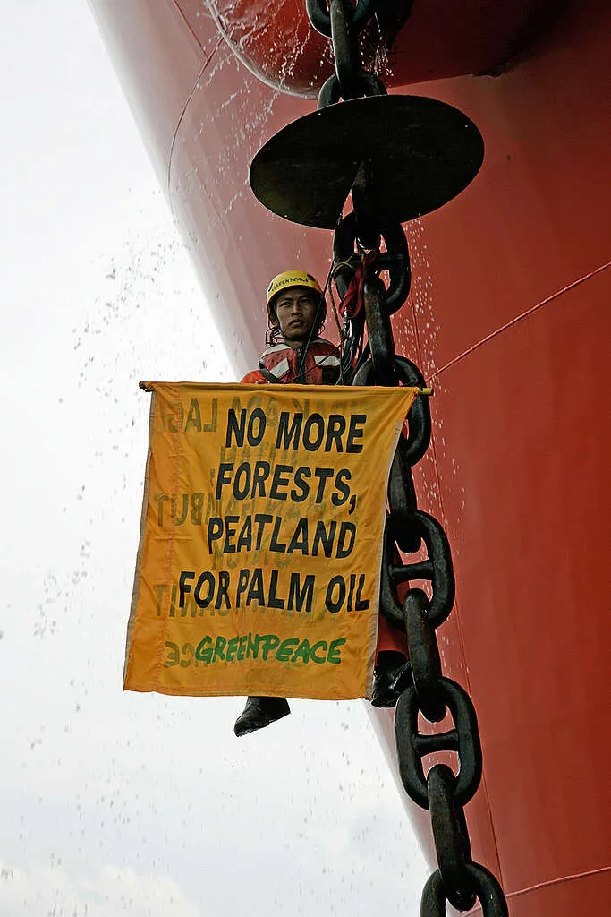Sikap Kritis Greenpeace Atas Pembentukan Badan Pengelolaan Gambut dan Mangrove Nasional