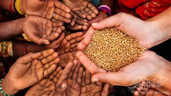 Kelaparan Global Masih Tinggi, SPI Tegaskan Reforma Agraria dan Kedaulatan Pangan sebagai Solusi