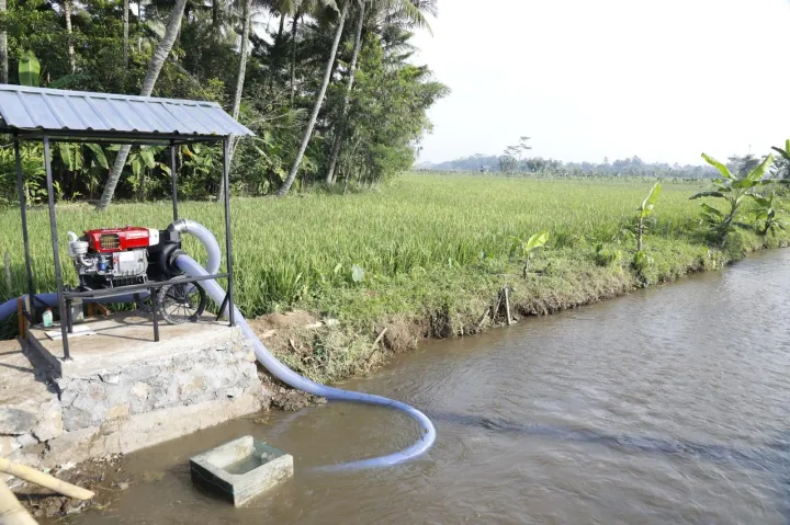 Pompanisasi dan Pupuk Terjaga, Petani Tetap Bisa Menanam dan Produksi di Tengah Kemarau