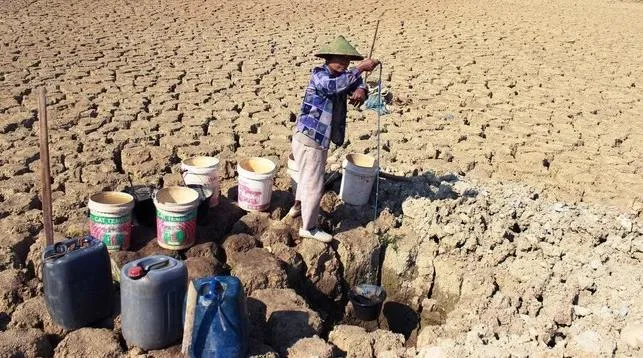 Hari Air Sedunia, WALHI: Evaluasi Kebijakan Tata Kelola Lingkungan dan Tata Ruang