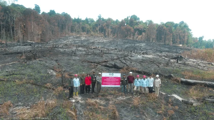 Kemenhut Jatuhkan Sanksi 6 Perusahaan Terkait Karhutla, Hingga Pembekuan Perizinan Berusaha