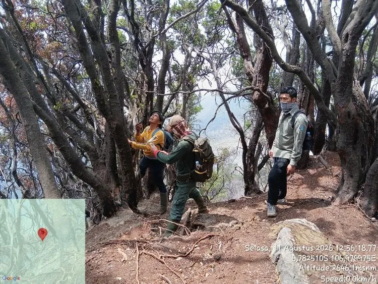 Titik Api Kembali Muncul di Kawah Wadon Gunung Gede, BBTNGGP Kerahkan Petugas Gabungan
