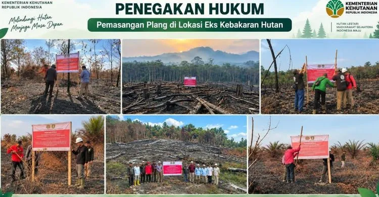 Kemenhut Usut 31 Kasus Karhutla, Sanksi Tegas Menanti