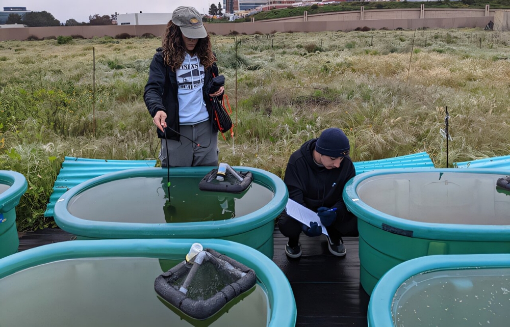 Waspada! Polusi Plastik Bisa Menyebabkan Lingkungan Air Jadi Berbahaya