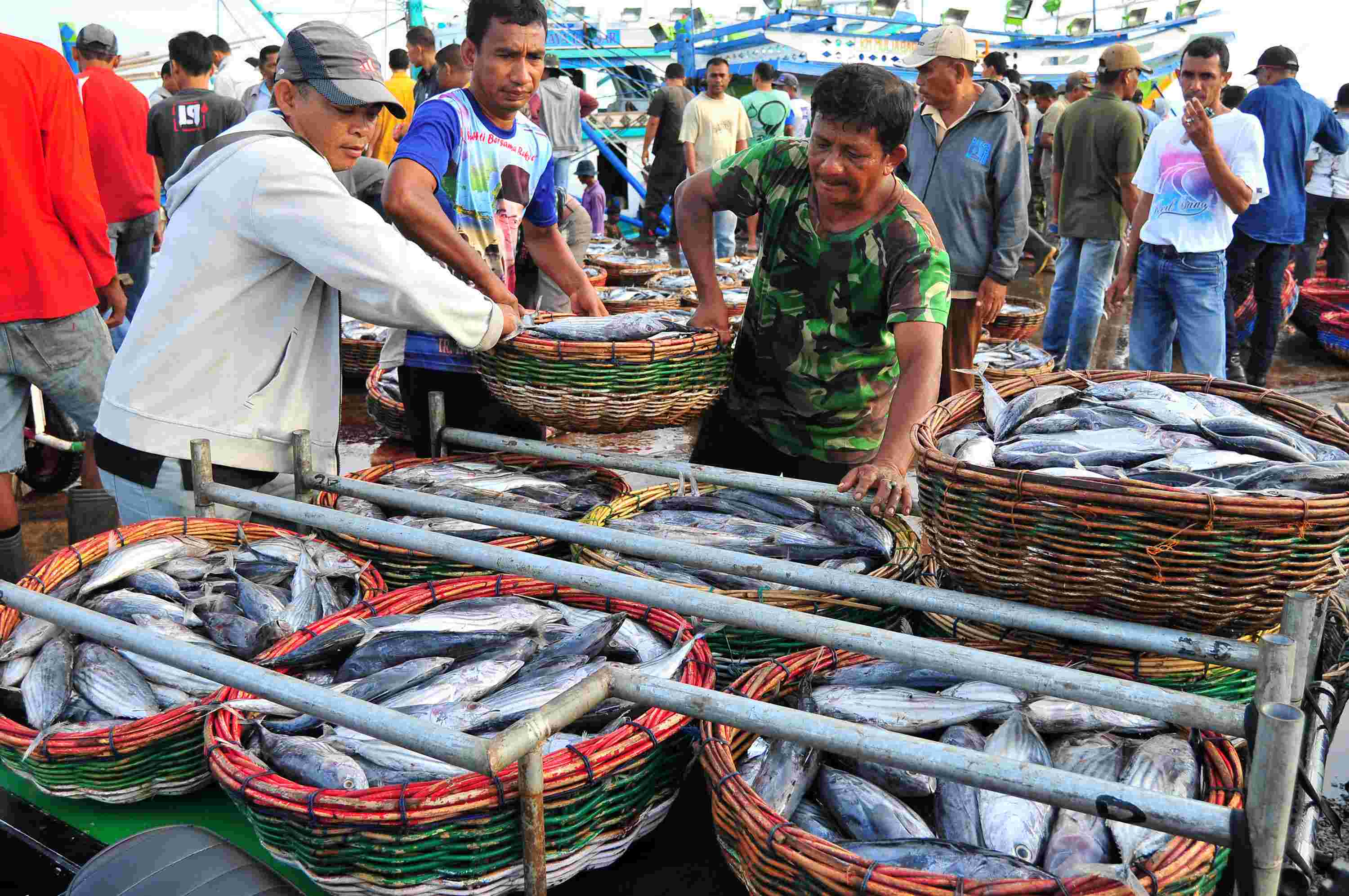 Produksi PPN capai 1,1 ribu ton ikan