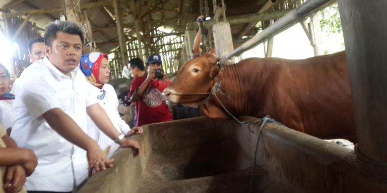 KPPU Dorong Pemerintah Realisasikan Impor Sapi sebanyak 318.000 Ekor