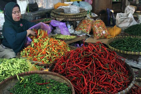 Harga cabai di Malang tembus Rp140 ribu/kg