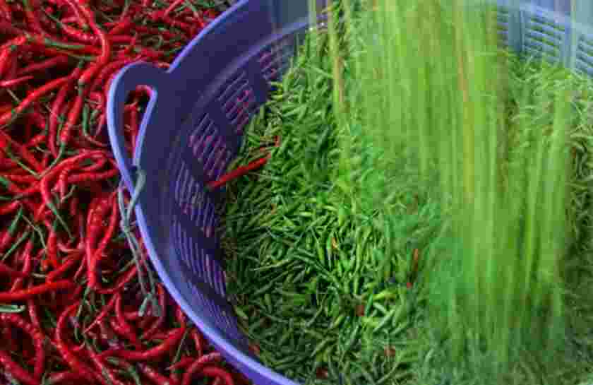 Stok di Pasar Meningkat, Harga Cabai Turun Drastis