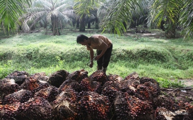 Harga CPO dipapas proyeksi banjir suplai