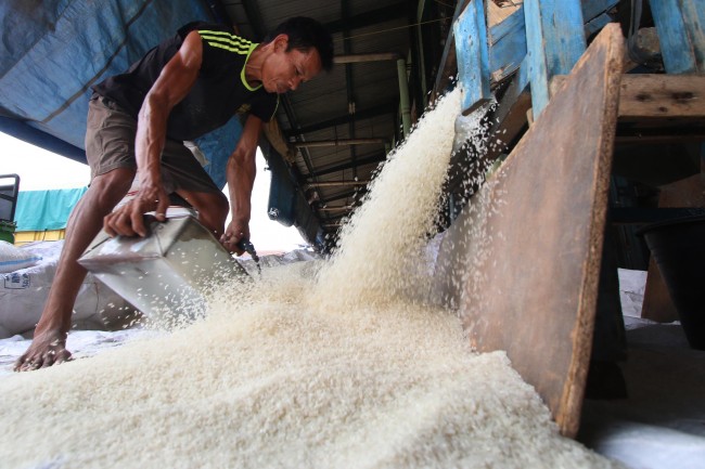 Petani Khawatirkan Penurunan Harga Gabah di Indramayu