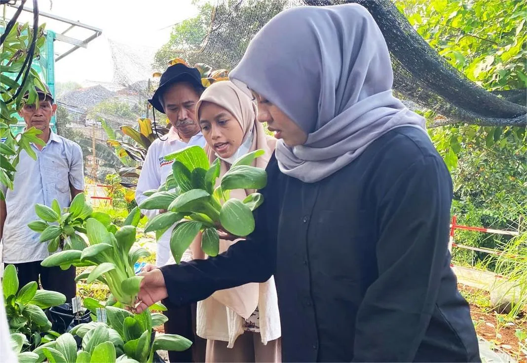 Riset Ungkap Pemberdayaan Kelompok Wanita Tani dan Urban Farming Efektif Tekan Risiko Stunting