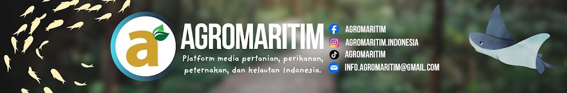Advertisement Sponsorship: agromaritim
