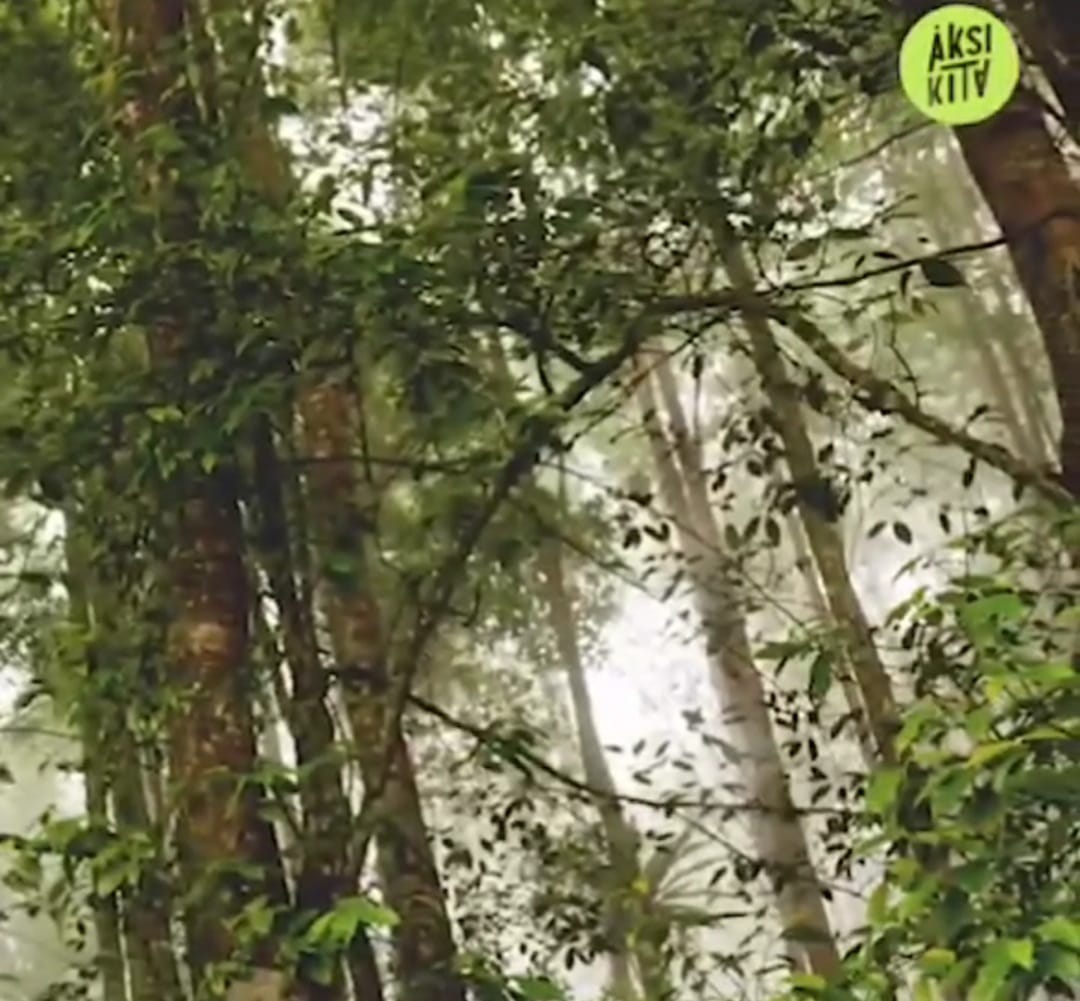 Di Jepang, Sawah Pun Dalam Gedung